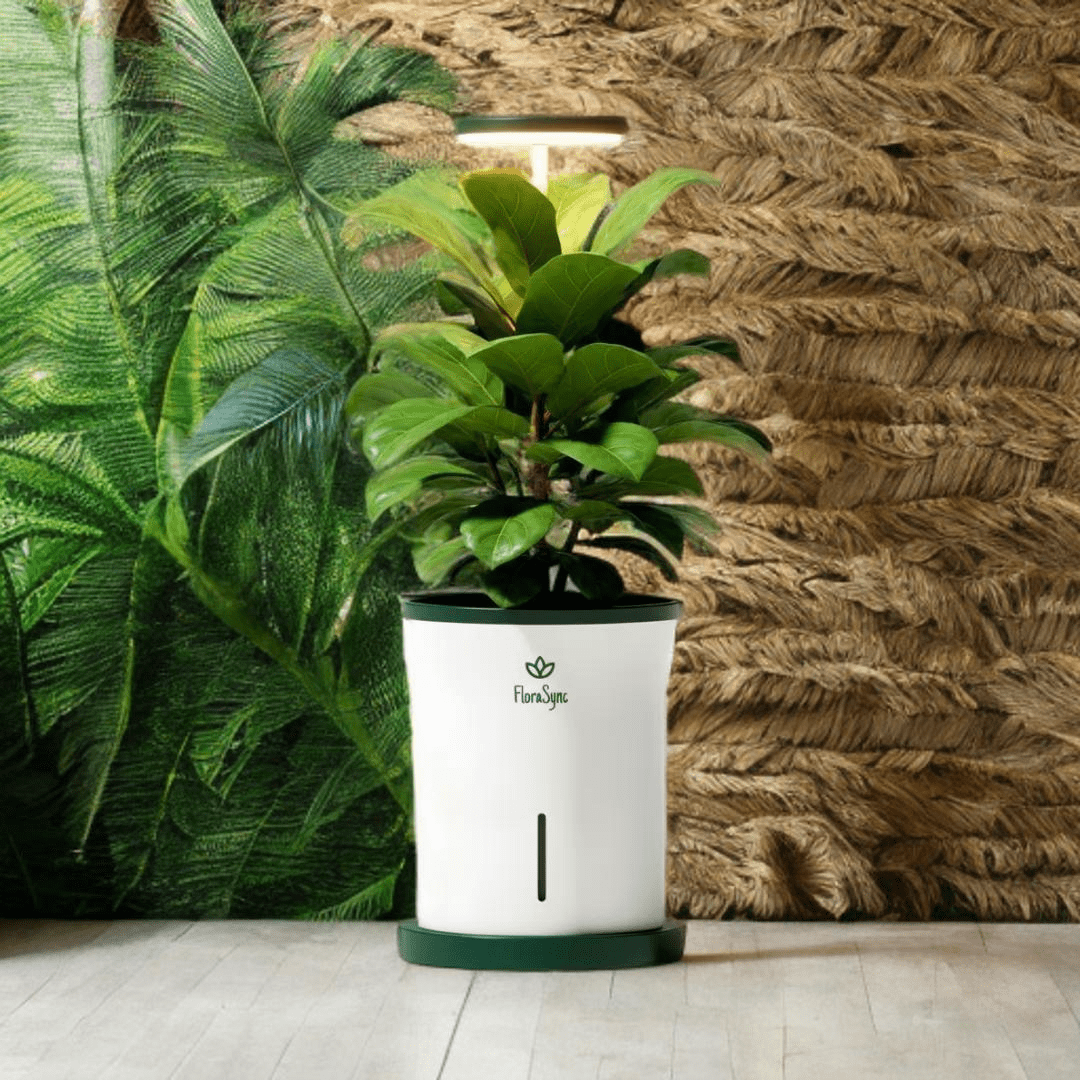 The "Problem Solver" - FloraSync