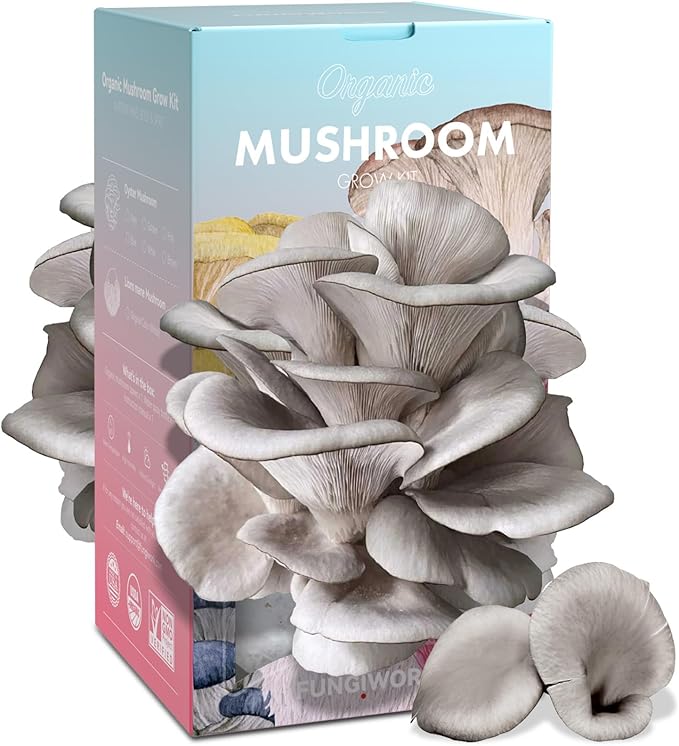 Mushroom Growing Kit (Oyster) - FloraSync