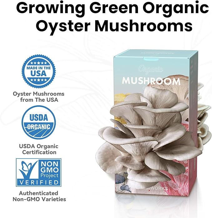 Mushroom Growing Kit (Oyster) - FloraSync
