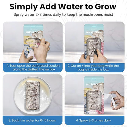 Mushroom Growing Kit (Oyster) - FloraSync