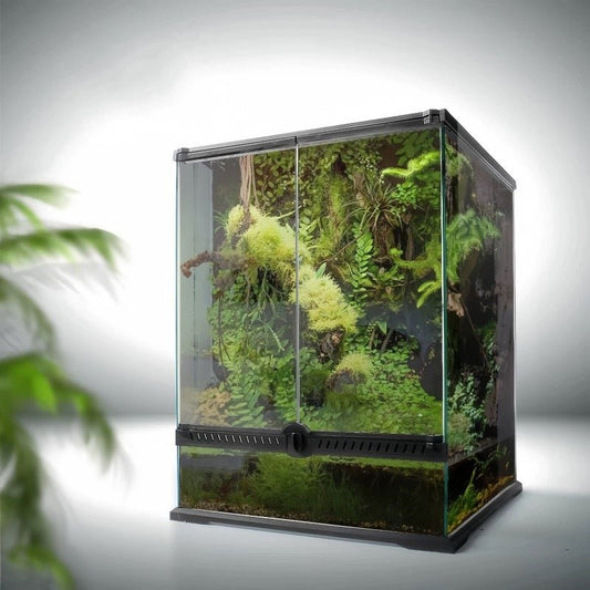 Terrarium - FloraSync
